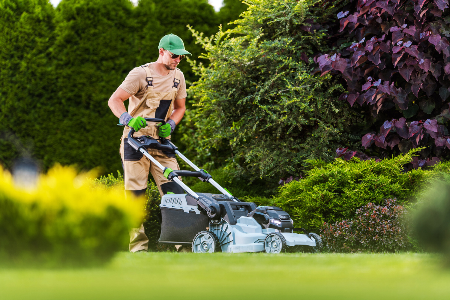 Gardener Performing Lawn Maintenance Using Power Mower